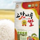 고맛나루공주시농협쌀조합공동사업법인 | [고맛나루장터]쌀 10kg 특등급 21000원
