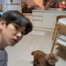 이주승 카카오 검색결과