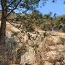 대야산자연휴양림 이미지