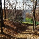 비오람요양병원 이미지