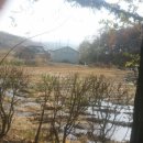 이상재공인중개사사무소 이미지