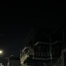원남로-3 경북도민일보