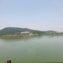 낙동강변로-4 이미지