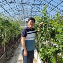 지원농장 이미지