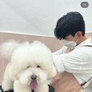 그루밍젤리 이미지