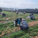 고창군청 이미지