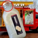 옥정중학교 이미지