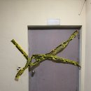 마산회원구 ⓒ-10 이미지