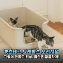 우리고양이 | 고양이 화장실 캣츠태그 묘래박스 오리지널 솔직 후기 우리 고양이 인생 화장실 등극