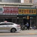 부산농약종묘사 이미지