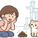 묘책