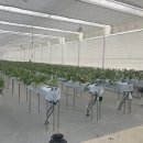 스마트2농장 뉴시스