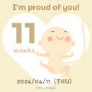 과일손질의달인 이미지