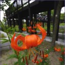 길사이언스 이미지