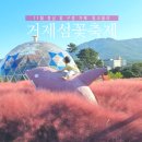 외간초등학교 | 거제섬꽃축제 2025 기간 입장료 가는법 주차 셔틀 공연 가수라인업