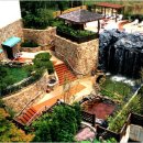 설악파인리조트 이미지