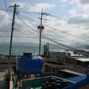 골목횟집 이미지