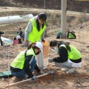 생명나무숲 이미지