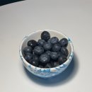 안식축사 | 요니의 직딩일기 #126 이사 준비, 대출 상담, 바쁜 봄 뜨거운 여름 일상 💦