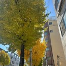 분이네인생짬뽕 이미지