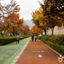 스포원스포츠센터_휘트니스 이미지