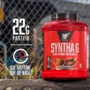 1호피티 이미지