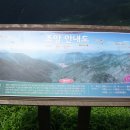 노가네충무김밥구시청앞
