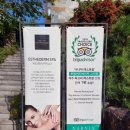 베이힐 스킨케어 | 제주 마사지 에스테덤스파 (베이힐 스킨케어) 방문 후기 feat. 베이힐풀앤빌라