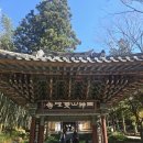 쌍계사대웅전 | 359일 루틴 걷기운동 하동 쌍계사 &amp; 더로드 101카페☕️&amp;구례 연곡사 주말일상🍁🍁🍁🍁🍁🍁🍁🍁🍁🍁🍁🍁🍁🍁🍁🍁