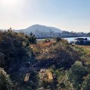 별도연대 이미지