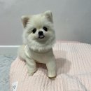 왕자의류