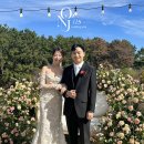 비비드블룸플라워 네이버블로그