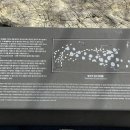 창선 가인리화석산지 이미지