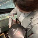 선우맨션 | 도쿄직장인11월일상 | 명령하지마라 삼십대로 천천히 간다