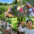 서울숲 생태숲 화장실 | 반가워숲학교 6세 서울숲 물놀이 숲체험 내돈내산 후기