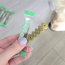 스마트덴탈 | 강아지덴탈껌 추천 굿포펫 엔자이츄 츄잉 덴탈껌 후기 강아지소화까지 생각한 데일리 간식