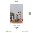 미용하러오개 이미지