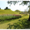 순천만힐링 이미지