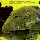 코리아농장 이미지