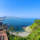 이기대 동생말 이미지