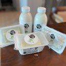 반딧불 목장 이미지