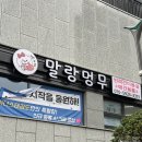 신세계 애견미용샵 | 부산 연산동 애견 미용샵 ‘말랑멍무’에서 미용 후기