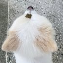 에이블팜