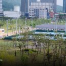 안양새물공원 축구장 이미지