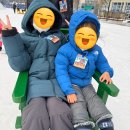 휘닉스 스노우파크 | 휘닉스파크 스노우빌리지+곤돌라+식당 이용후기