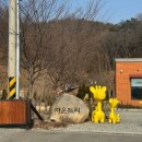 성주읍4길 | 경북 성주 고분군 뷰 카페 | 반려견·아이와 함께 좋은 마운트리 후기