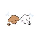 체인지펫미용 이미지