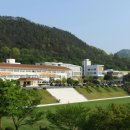 175 이미지