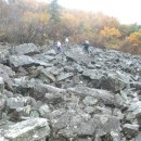 창오농장 | 신백두대간 마무리 3구간 (금오산)