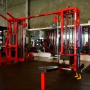 청춘헬스클럽 이미지